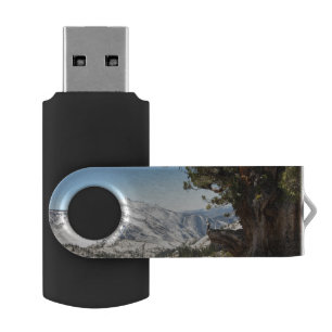 Old Tree at Yosemite National Park Flash Drive