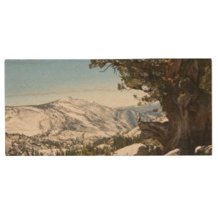 Old Tree at Yosemite National Park Wood USB Flash Drive