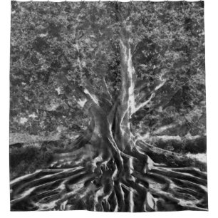 Old Tree in Black and White Shower Curtain
