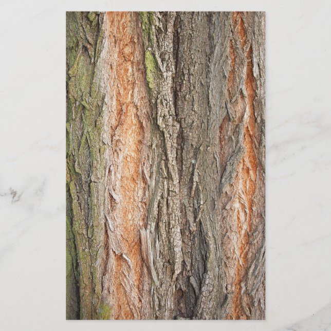 old tree stationery (Front)