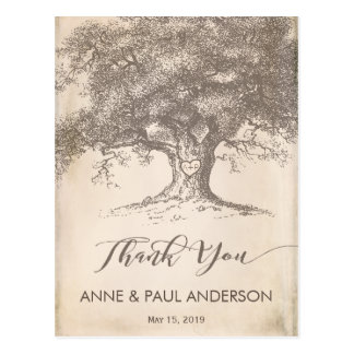 Old tree Thank You Card