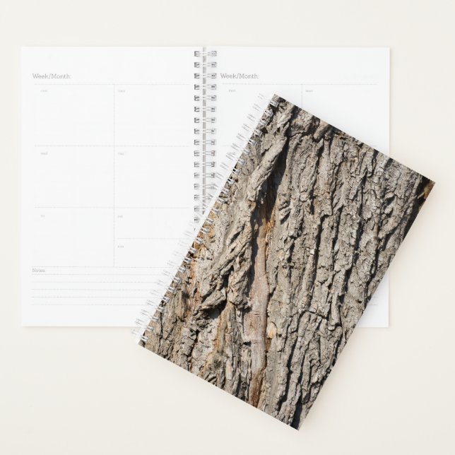 Old trunk pattern planner (Display)