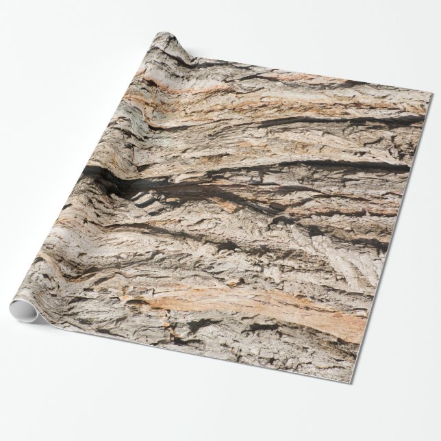 Old trunk pattern wrapping paper (Unrolled)