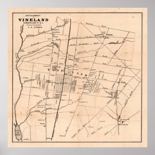 Old Vineland NJ Map 1875 Dandelion Capital  Poster