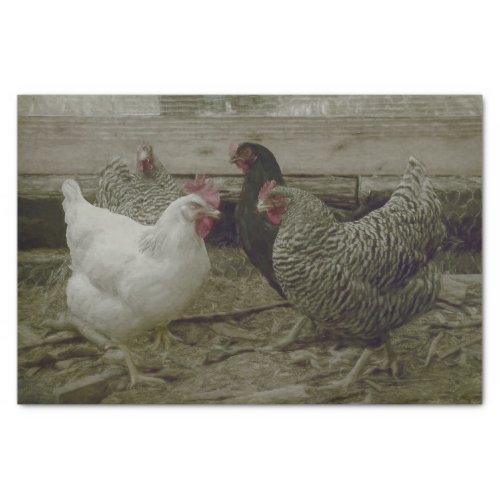Old Vintage Barnyard Country Chicken Tissue Paper