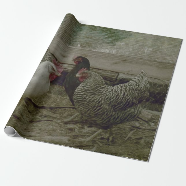 Old Vintage Barnyard Country Chicken Wrapping Paper (Unrolled)