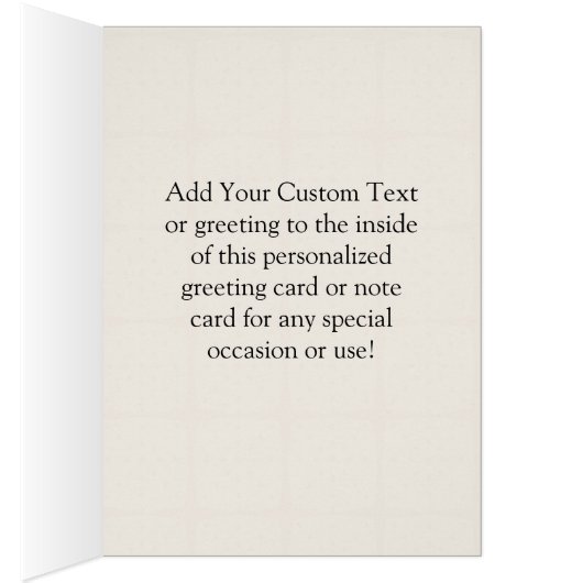 Old Vintage Floor Television (Inside (Right))