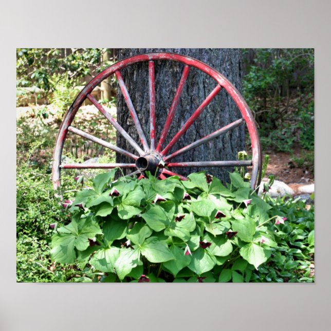 Old Wagon Wheel Trillium Flower Garden Poster (Front)