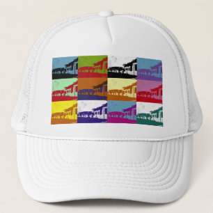 OLD WALES TRUCKER HAT