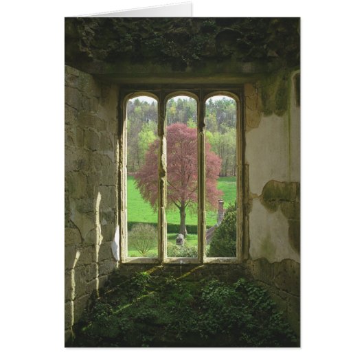 Old Wardour Castle Cards (Front)