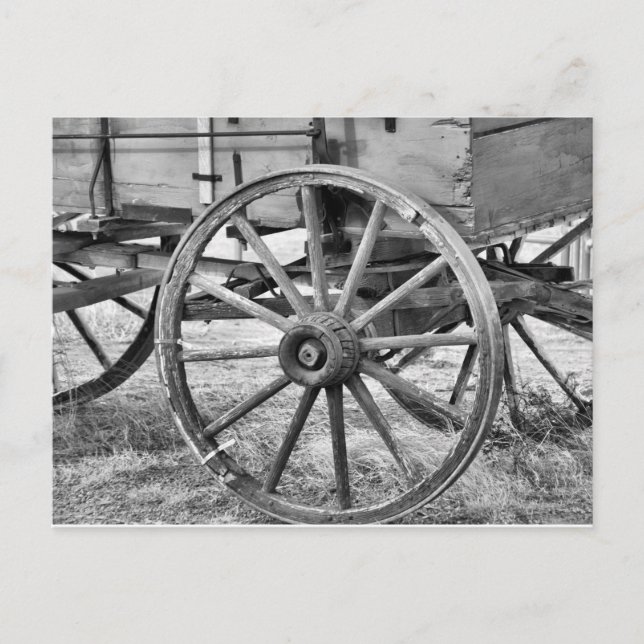 Old West Wagon Postcard (Front)