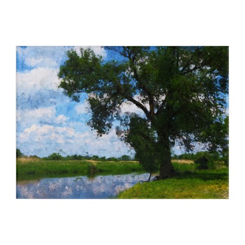 Old willow on the branch of the river Havel Acrylic Print