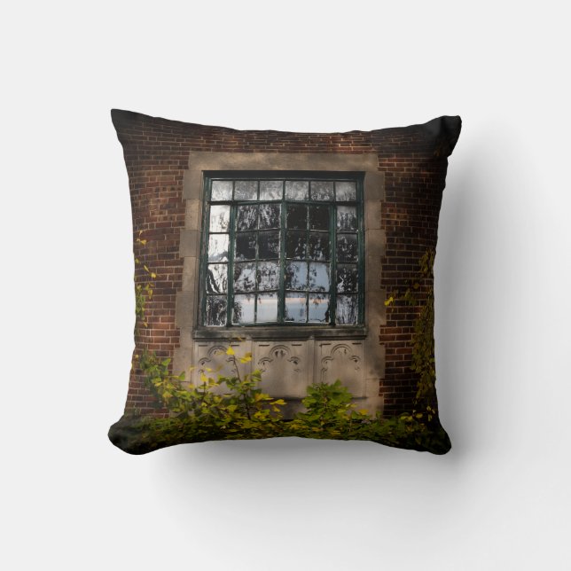 Old Window Throw Pillow (Front)