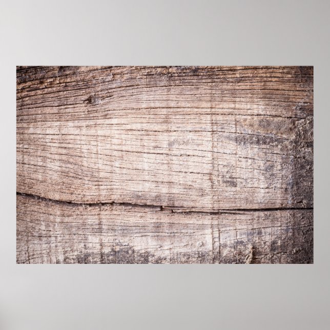 Old wood background. wood, trunk, background, stum poster (Front)