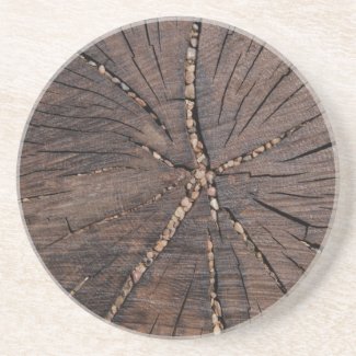 Old Wood Slice Tree Stump