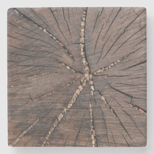 Old Wood Slice Tree Stump Stone Coaster
