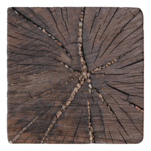 Old Wood Slice Tree Stump Trivet