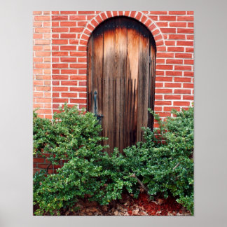 Old wooden door poster