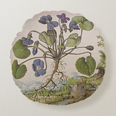 Old World Botanical Art Viola Cushions