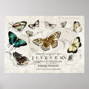 OLD WORLD BUTTERFLIES PRINT OR DECOUPAGE PAPER