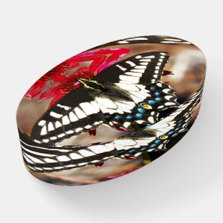 Old World Swallowtail Butterfly on Flower Photo Paperweight