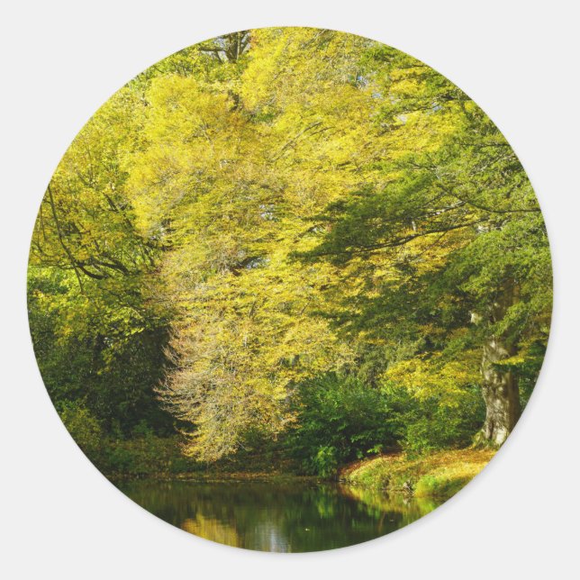 Old Yew Trees Classic Round Sticker (Front)