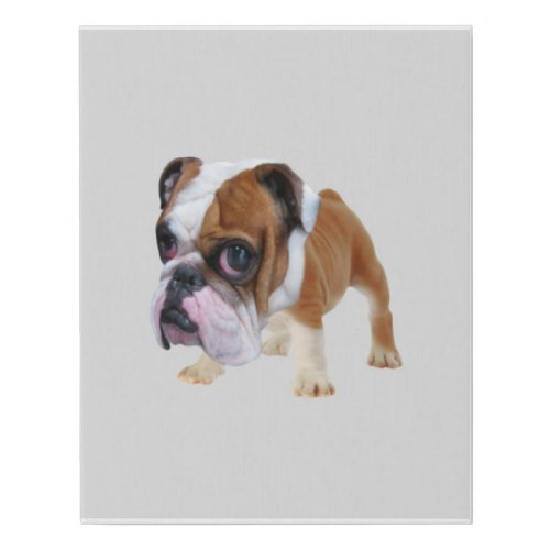 Olde English Bulldogge Puppy Bulldog Lover Faux Canvas Print