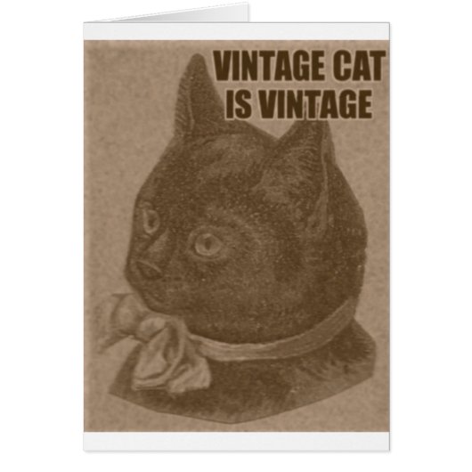 Olde LOLcat Cards (Front)