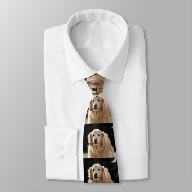 Olden Golden  Neck Tie (Tied)