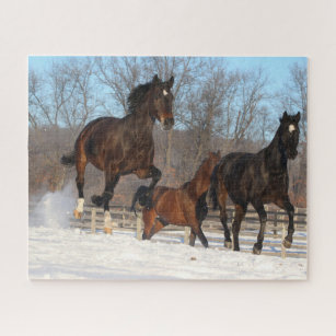 Oldenburg and Hanoverian Mares In Snow Jigsaw Puzzle