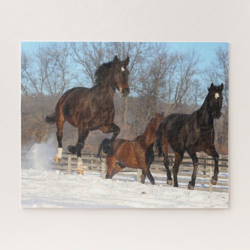 Oldenburg and Hanoverian Mares In Snow Jigsaw Puzzle