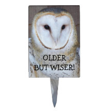 Owl Birthday Cake Toppers Zazzle
