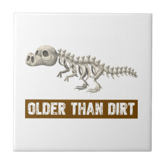 older than dirt shirt