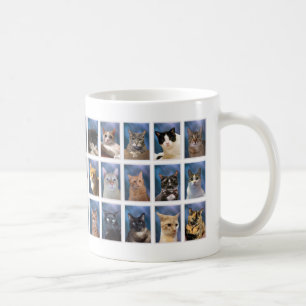 (Older Version) The Boring Group Cat Class of 2023 Coffee Mug