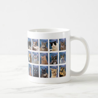 (Older Version) The Boring Group Cat Class of 2023 Coffee Mug