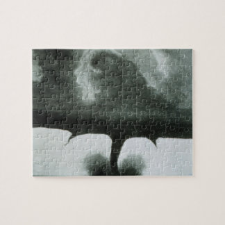 Oldest Known Photograph of a Tornado from 1884 Jigsaw Puzzle
