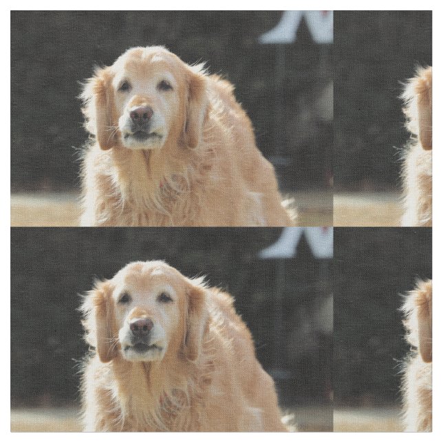 Oldie Goldie Fabric (Close Up)