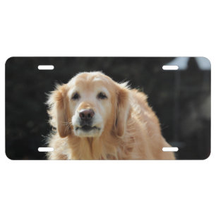 Oldie Goldie License Plate