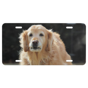 Oldie Goldie License Plate