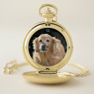 Oldie goldie pocket watch