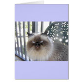 Ole' Blue Eyes (Front)