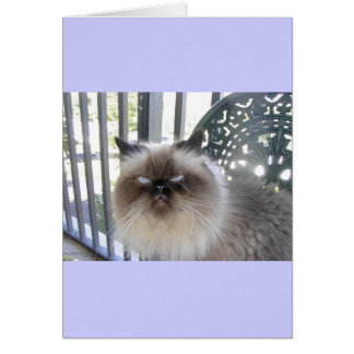 Ole' Blue Eyes Cards