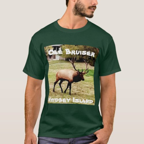 Ole Bruiser T_Shirt