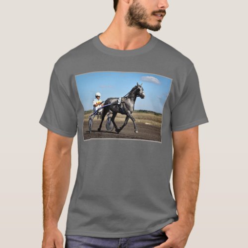 Olev Grey Trotter T_Shirt