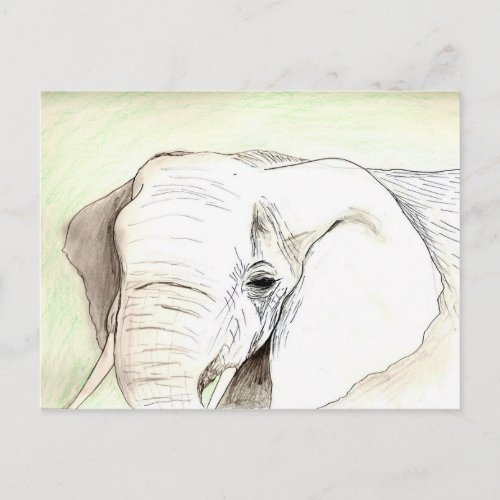 Olifant Postcard