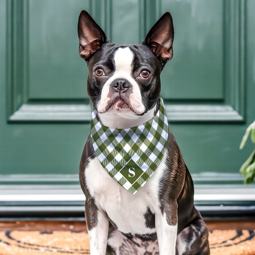 Olive And White Diagonal Buffalo Plaid Monogram Pet Bandana Collar