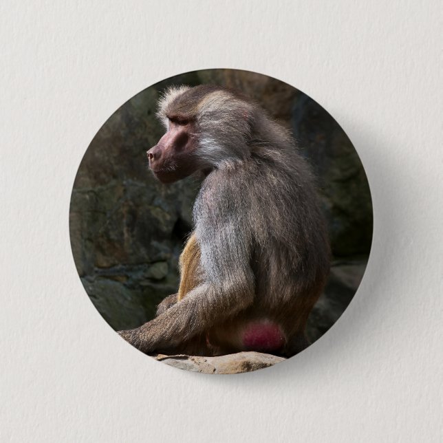 Olive Baboon Button (Front)