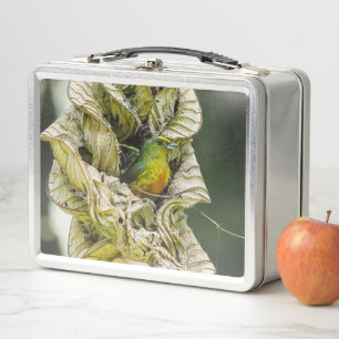 Olive Backed Euphonia, Wildlife Avian Photography Metal Lunch Box
