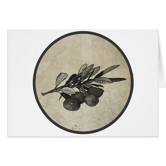Olive Branch Cards (Front Horizontal)