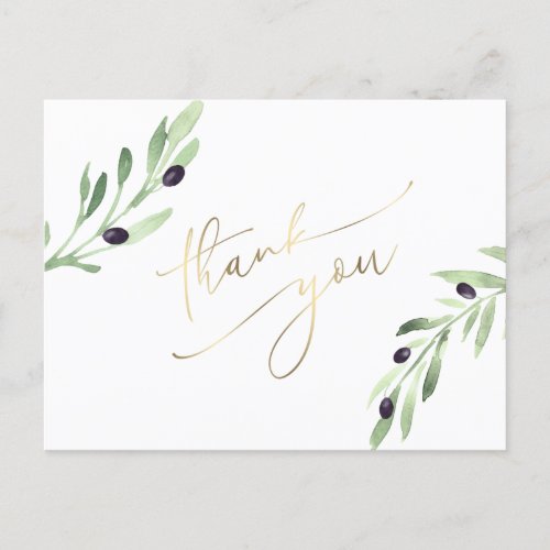 olive branch thank you  postcard